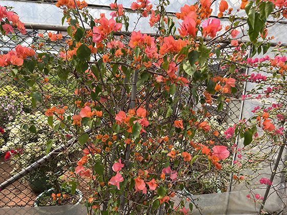 厨房工具简史：从石磨到料理机的劳动智慧凝结过程