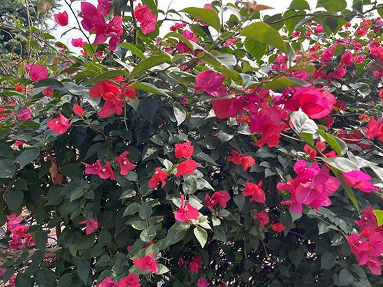 从古代水道到现代输水，人类如何实现水资源的跨空间调配？