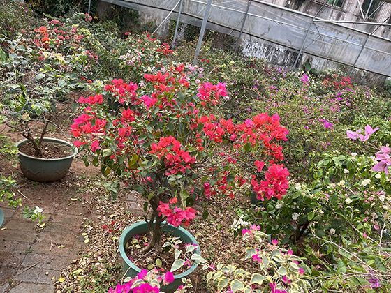 走进长江：从唐古拉山源头到东海入海口，这条黄金水道藏着多少中华人文密码