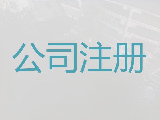 西安市灞桥区个体工商户代办|记账报税服务，正规代办公司，收费透明