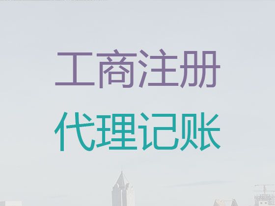 上海市崇明区财会代理公司|公司变更，一站式财税服务