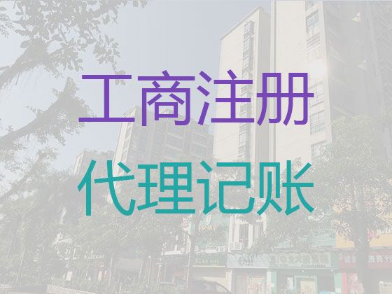 嘉善县公司注册代理公司，代理记账报税，专业代办服务，收费透明