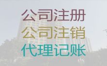 东莞市常平镇公司代理记账|知识产权申请注册