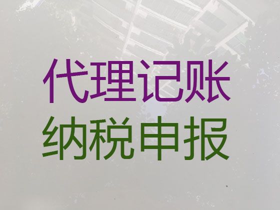 绍兴市柯桥区企业代理记账服务，本地财务代理公司