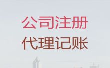 张掖市一般纳税人代理记账|专业团队为您服务