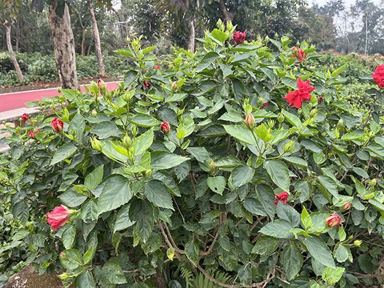 回顾历史上关键节点的个人选择，对2026年普通人规划人生有何启发？