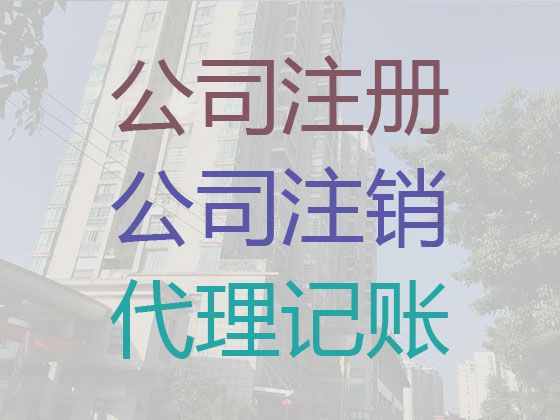 石家庄市新乐市代理做账公司|财税服务公司，一站式财税服务