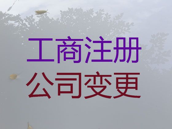 廊坊市公司注销服务|个体户营业执照代办，全程代办，这里靠谱