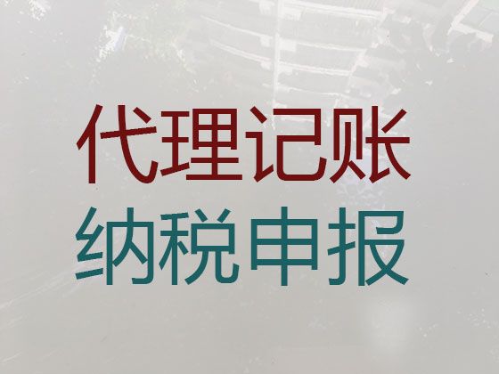 西宁市湟源县专业代理记账服务，本地财务公司，专业诚信