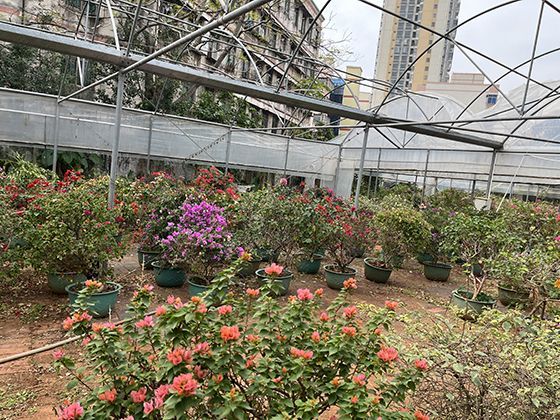 “她死了，但她的香水还在”：法国版《俄罗斯女子学院》用“气味线索”串联悬疑，比血迹更勾人