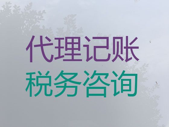 武汉市代账公司，财务记账服务