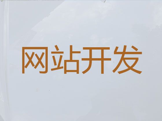 益阳市网站开发设计服务@短视频营销推广，专业建站公司