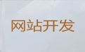 益阳市网站开发设计服务@短视频营销推广，专业建站公司