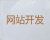 益阳市网站开发设计服务@短视频营销推广，专业建站公司