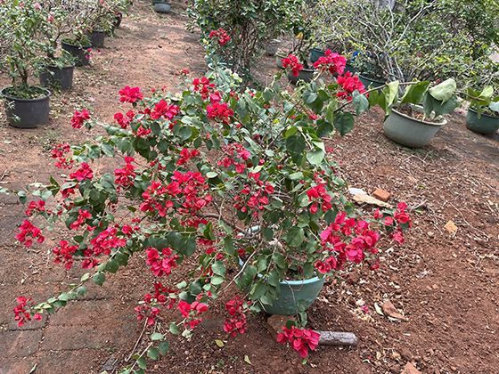 探访江南水乡的青石板小道，看乌篷船划过，感受不一样的烟火人间