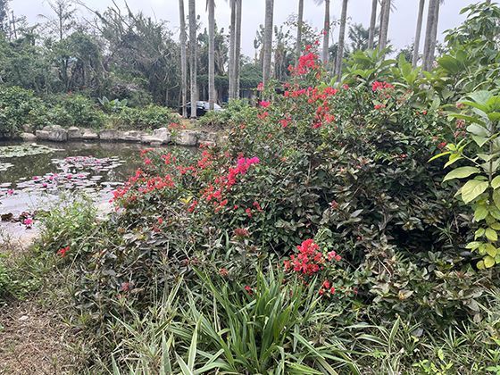 人机交互的革命：鼠标如何改变我们与计算机对话的方式？