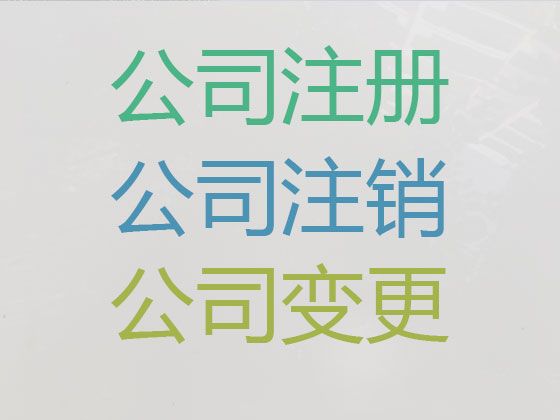 陵水公司法人变更代办-小微企业注册，不成功不收费，专业代办服务