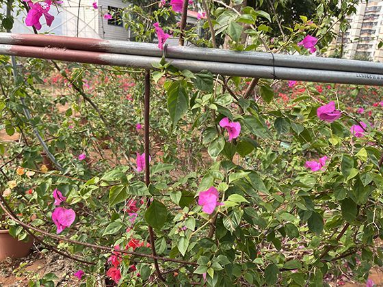 2026年的弹性工作制度对在职父母育儿有哪些具体利好