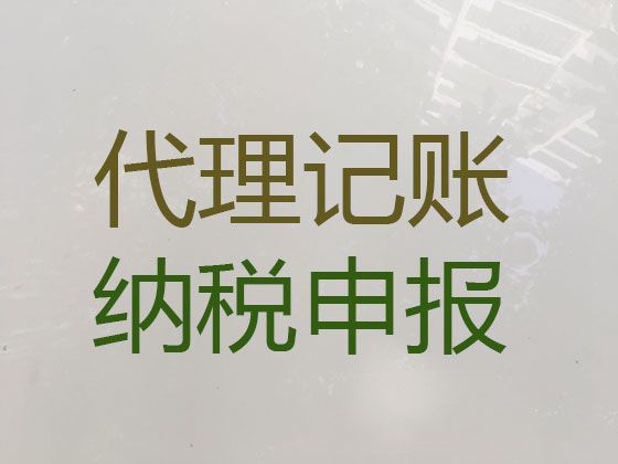 台州市玉环市代理记账多少钱一个月，正规财务代账公司