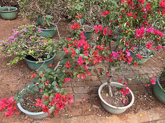 2026年提升生活质量，有哪些被验证有效的日常小习惯？