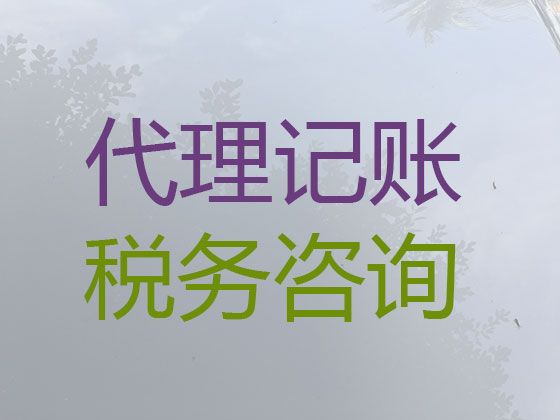 乌鲁木齐市天山区代理记账报税公司-代办营业执照