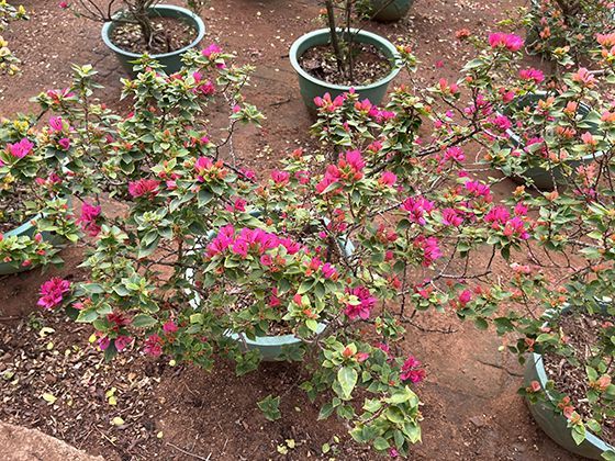 家庭医保共享后个人账户资金使用范围有哪些变化