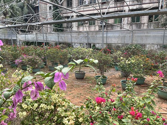 腕间的哲学：作为饰品的佛珠，如何在现代生活中传递精神追求？