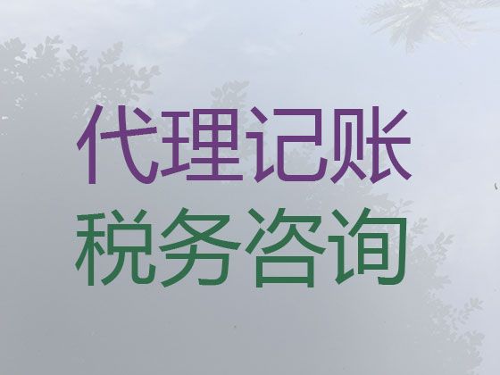 呼和浩特市和林格尔县工商财税服务，正规财务公司，专业诚信