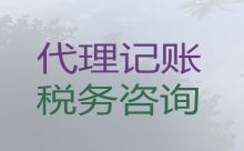 淮安市洪泽区代理记账如何收费-专业财税公司，专业诚信